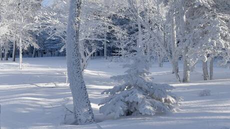 فرنسا.. مصرع 3 متزلجين في انهيار كتلة ثلجية في منتجع فال ديزير