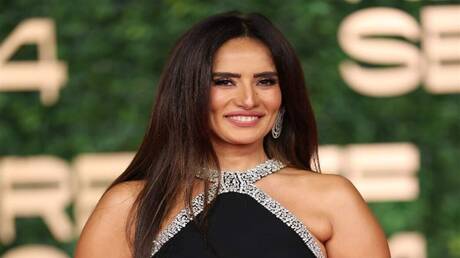 مصر.. الجدل حول نسب زينة يصل إلى السيسي 