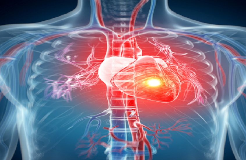 دراسة ضخمة تكشف سر صحة القلب