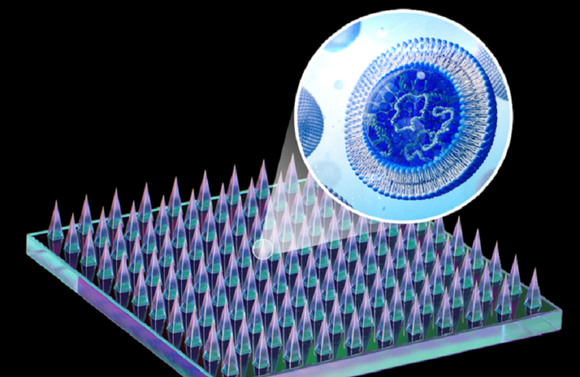 ابتكار سعودي يكشف الحساسية الغذائية قبل ظهور الأعراض