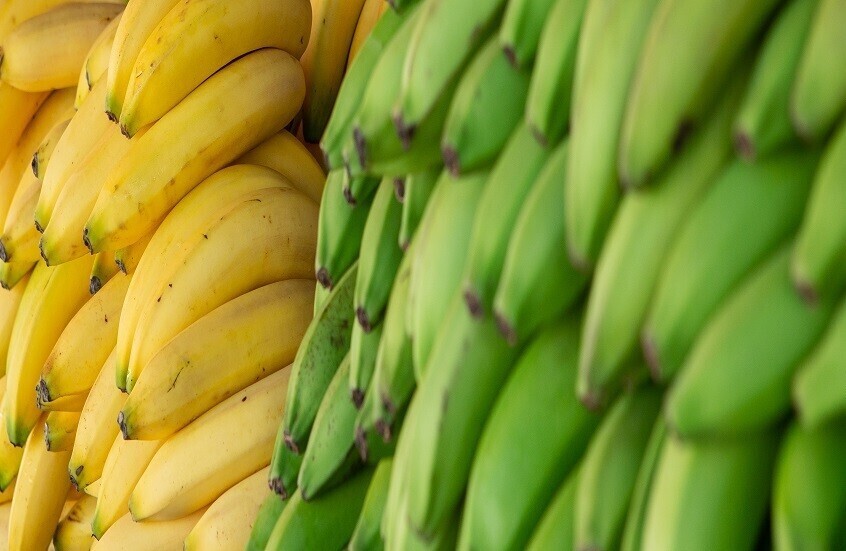 من عليه تجنب تناول الموز؟