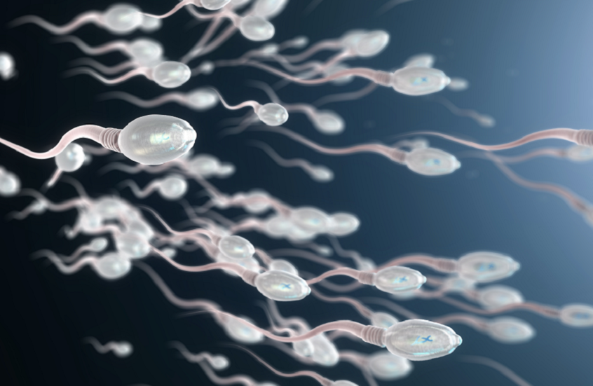 أمل لعلاج العقم الذكري البشري.. تقنية mRNA تستعيد خصوبة فئران عقيمة وراثيا