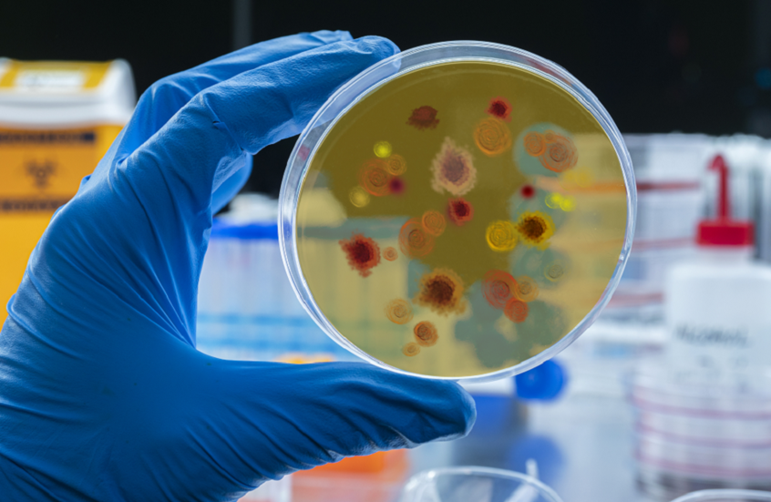 لقاح مبتكر ضد الملاريا يحقق نجاحا أوليا مذهلا