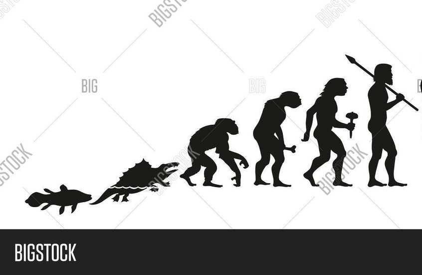 علماء صينيون يكتشفون نوعين من الأسماك القديمة لعبت دورا حاسما في تطور الإنسان
