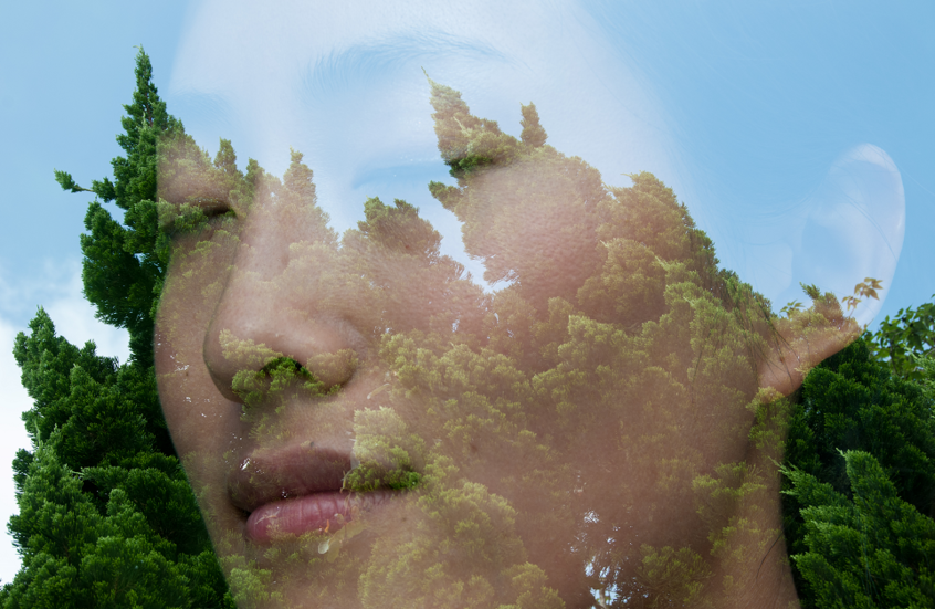 ماذا يحدث لدماغك في الطبيعة؟