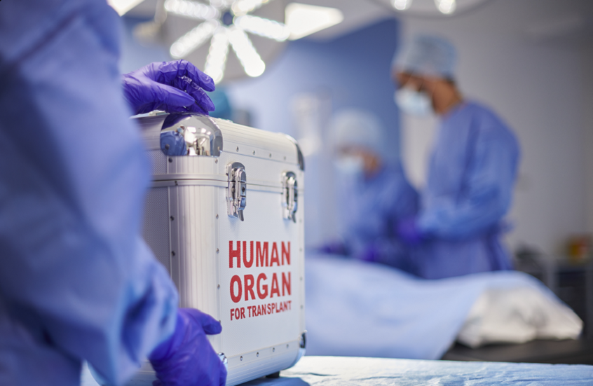 إنجاز صيني قد يحدث تحولا مذهلا في مجال زراعة الأعضاء