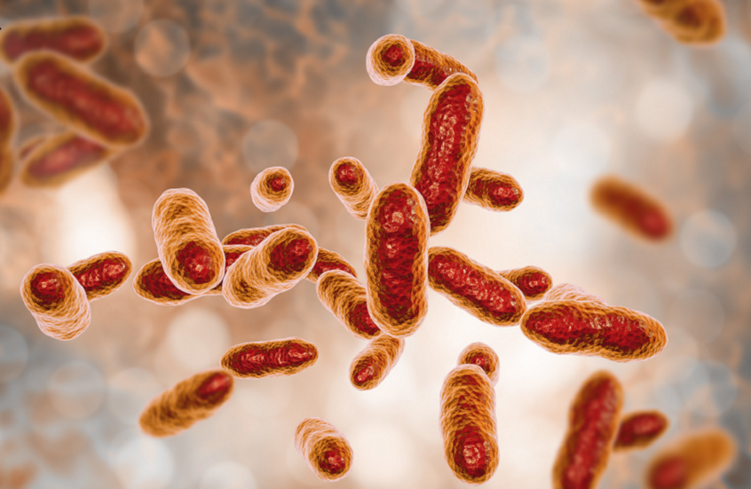 طريقة جديدة لتشخيص العدوى البكتيرية في دقائق معدودة