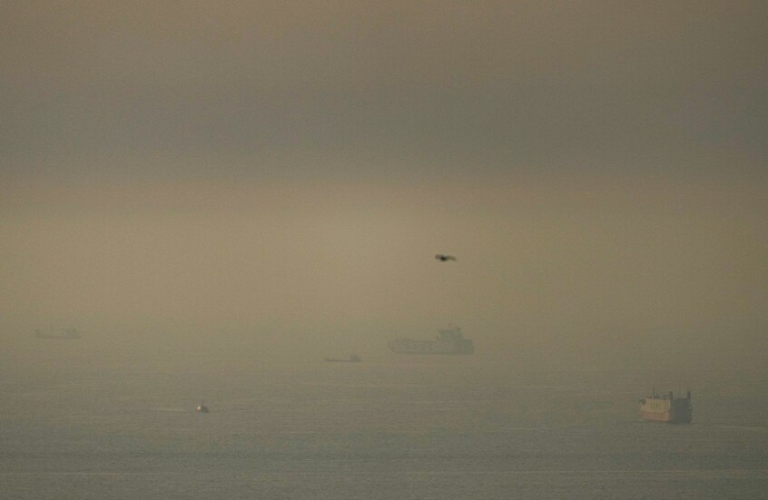 "سفينة زومبي".. "بلومبيرغ" تعلن عن عبور سفينة غريبة مضيق هرمز