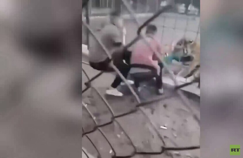 العراق.. نمر يفترس مراهقا في حديقة الزوراء عبر السياج الفاصل