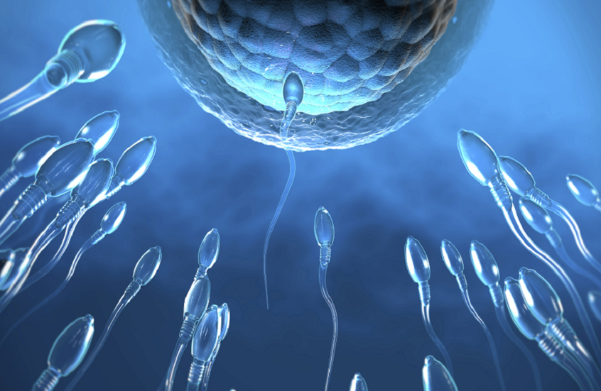 الامتناع عن الجنس وتأثيره على خصوبة الرجال