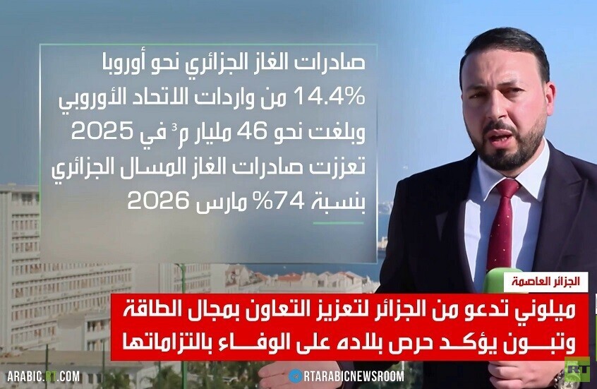 ميلوني بالجزائر.. البحث عن طوق نجاة