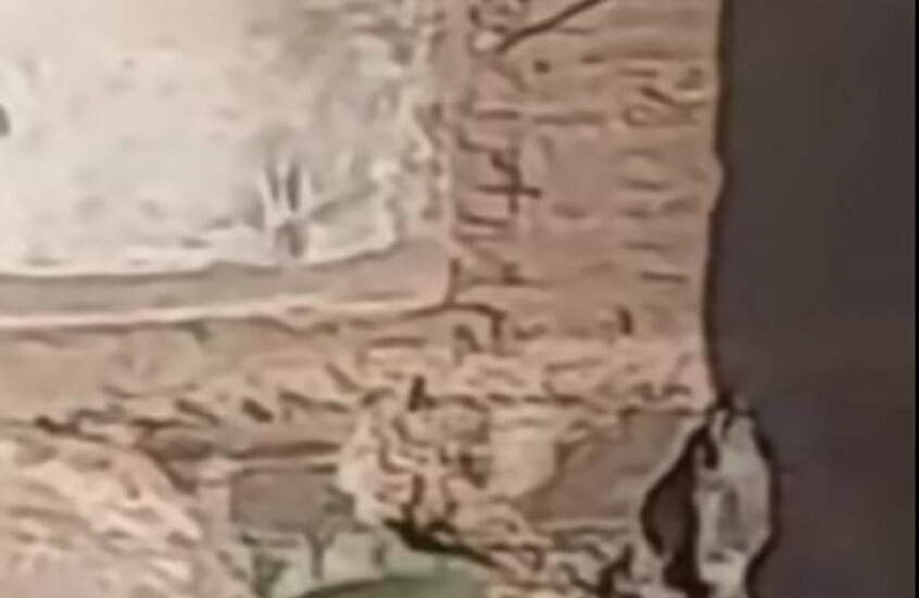 مصر.. تداول فيديو مزعوم لاغتصاب فتاة وسط الشارع يثير ضجة