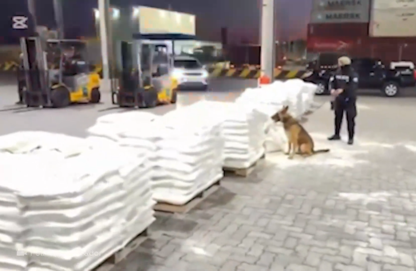 شرطة الإكوادور تضبط 1.4 طن من الكوكايين مخبأة في شحنة "خضراوات" متجهة إلى مصر