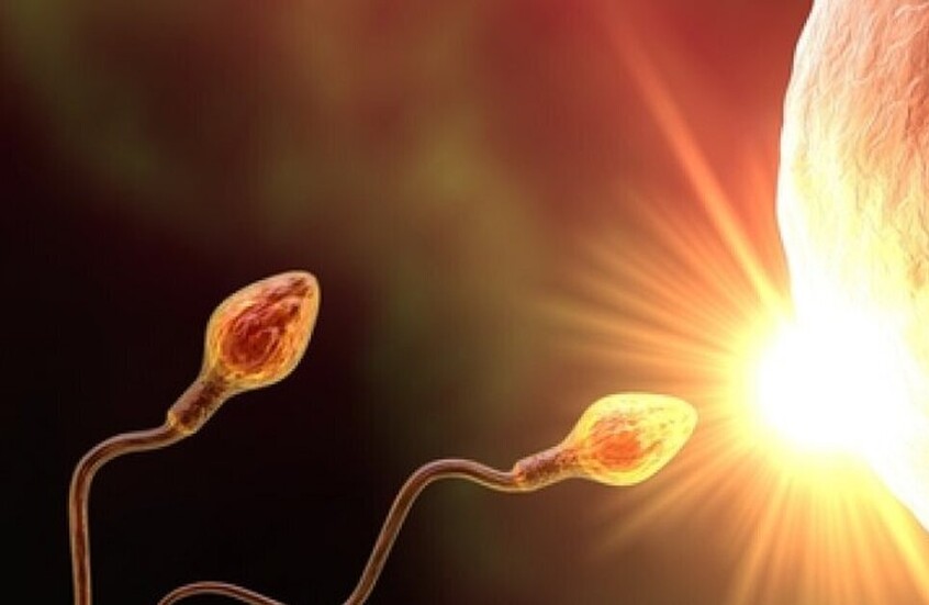 العلماء يكشفون تأثير انعدام الوزن على الإخصاب ويقترحون حلا هرمونيا