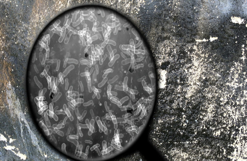 خطر كامن في التربة الأمريكية قد يتسبب بتفش عدواني محتمل