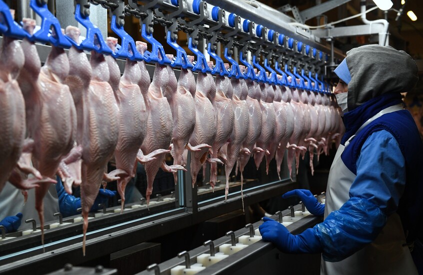 "قاطع الفروج!".. حملة شعبية تنجح في كبح جماح الأسعار في سوريا