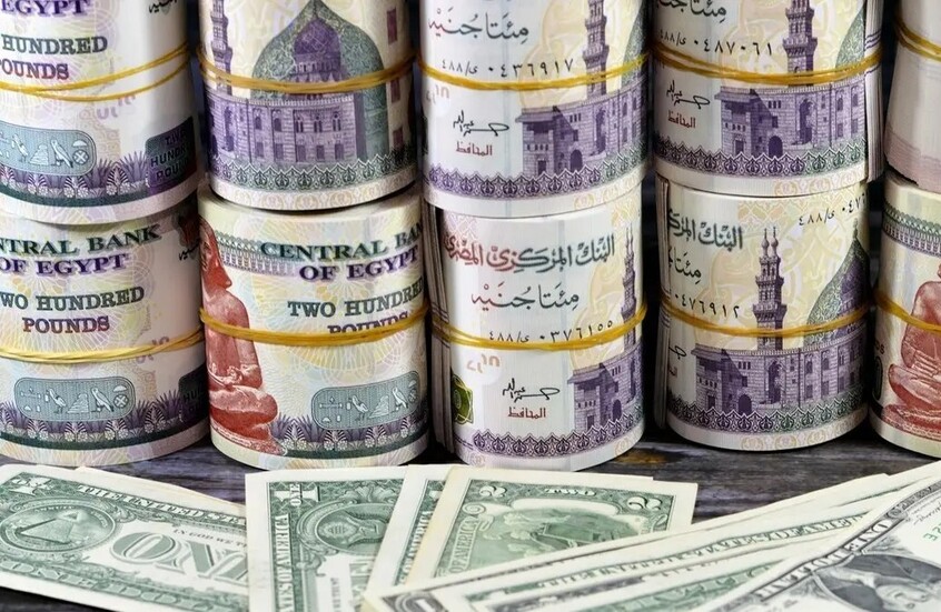 الدولار يجدد ارتفاعه في مصر