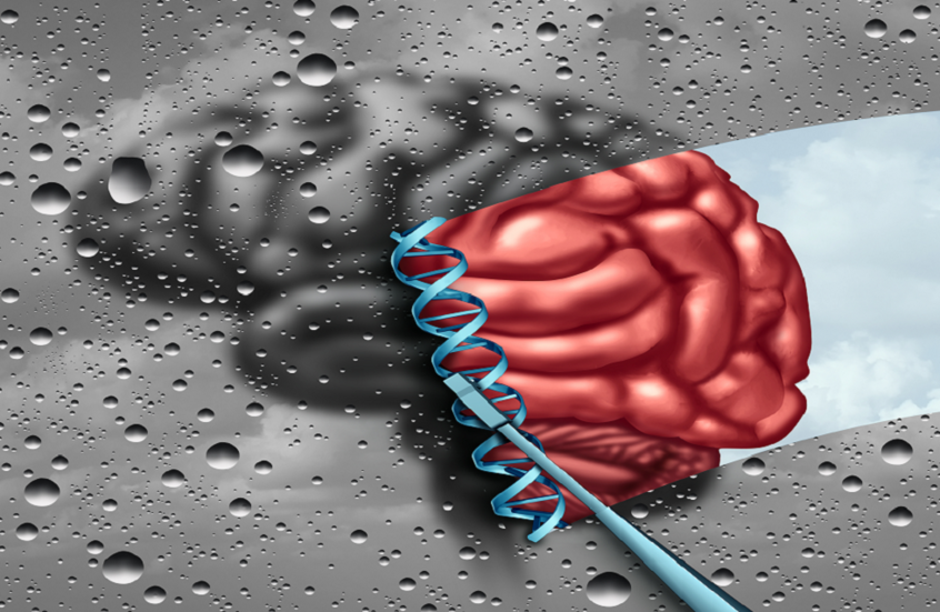 تفسير حديث لتحيز التوحد بين الجنسين.. هل تمتلك الإناث "درعا جينيا" ضد المرض؟