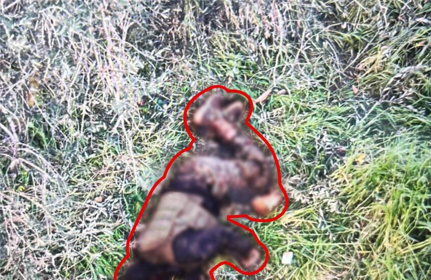 الجيش الإسرائيلي يعلن اعتقال عنصر في "حزب الله" والقضاء على العشرات في جنوب لبنان (فيديو)