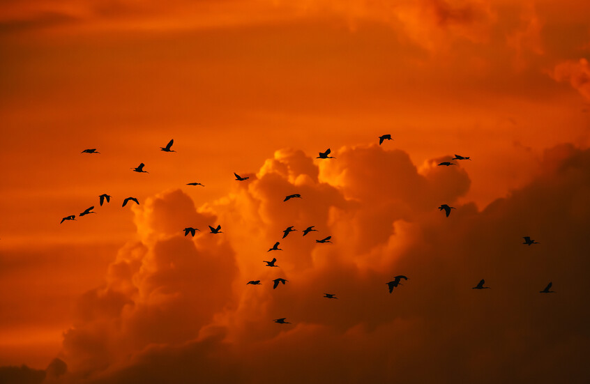 مشهد نهاية العالم في سماء أستراليا!