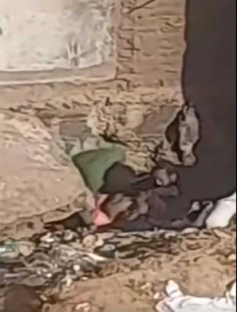 مصر.. تداول فيديو لاغتصاب فتاة وسط الشارع يثير ضجة ومطالب لوزارة الداخلية بتدخل عاجل