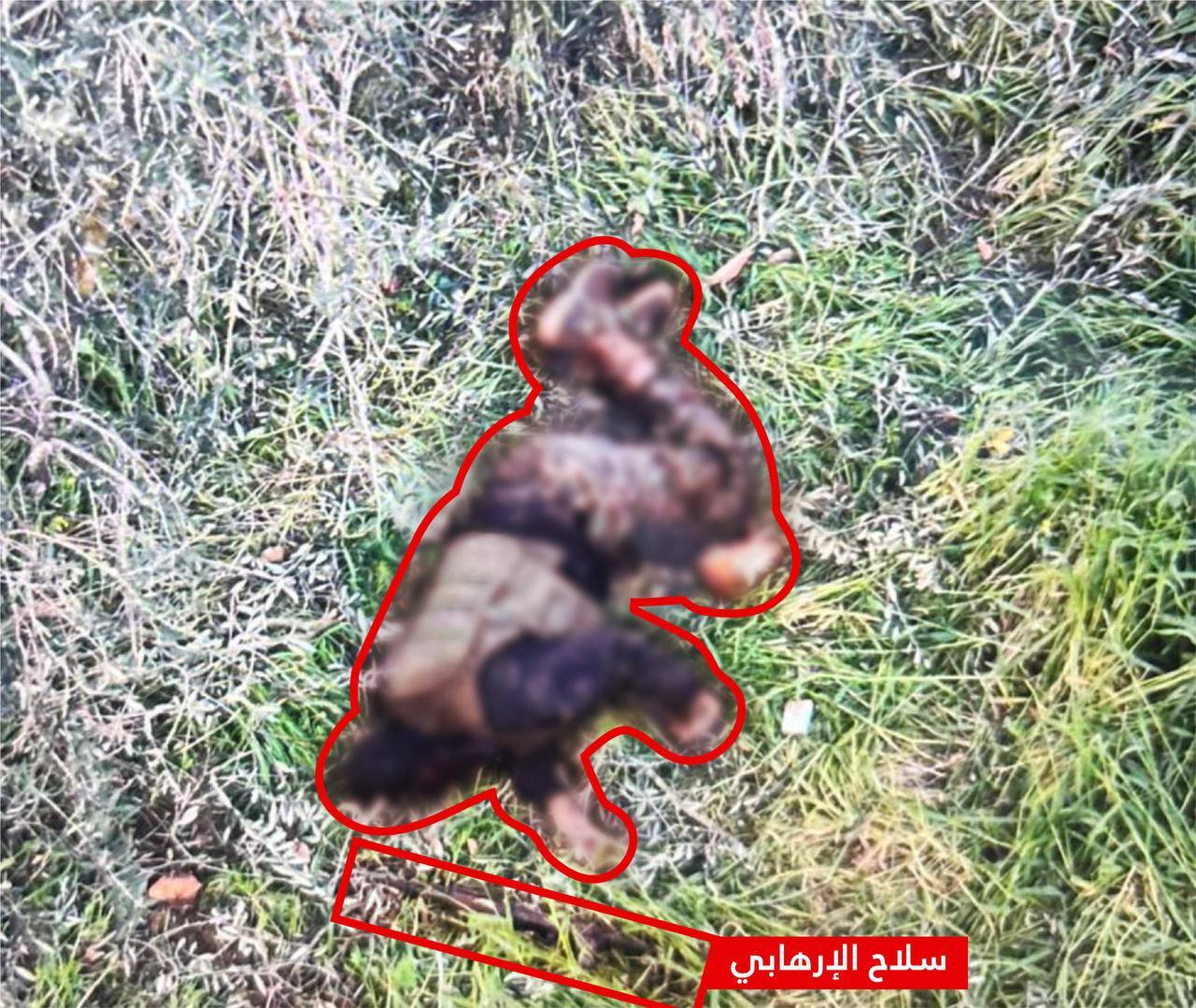 الجيش الإسرائيلي يعلن اعتقال عنصر من "حزب الله" والقضاء على العشرات في جنوب لبنان (فيديو)