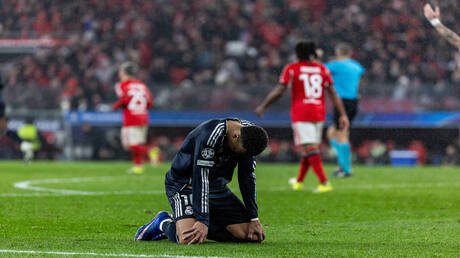 نبض الملاعب