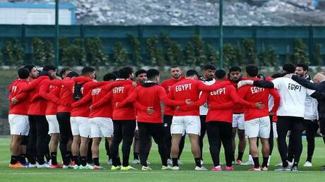 نبض الملاعب