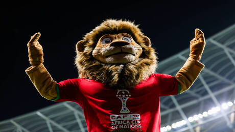 نبض الملاعب