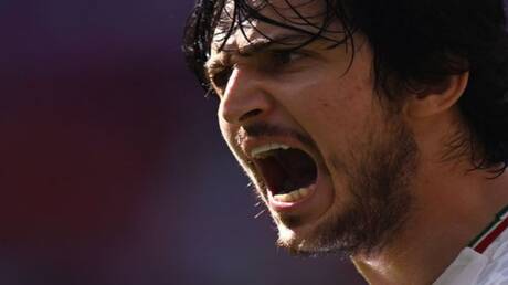 نبض الملاعب