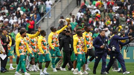 نبض الملاعب