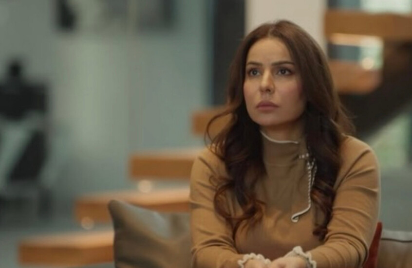 فريال يوسف تنتصر في النزاع القضائي مع نادية الجندي