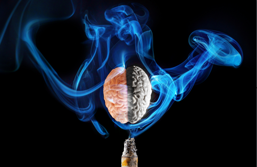 نتائج حديثة مقلقة حول القنب والتبغ