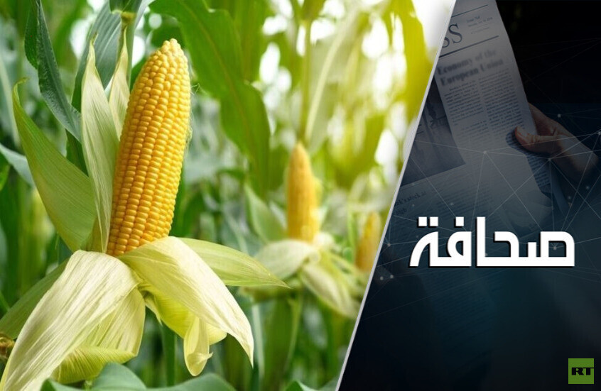 حب تركيا للذُرة الروسية تضاعف سبع مرات