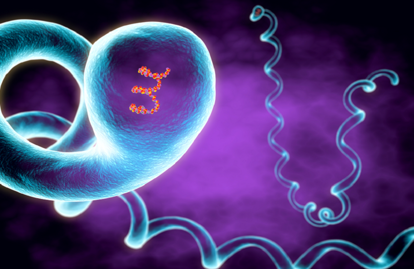 مرض نادر وخطير يهدد سكان ولاية أمريكية بعد الفيضانات