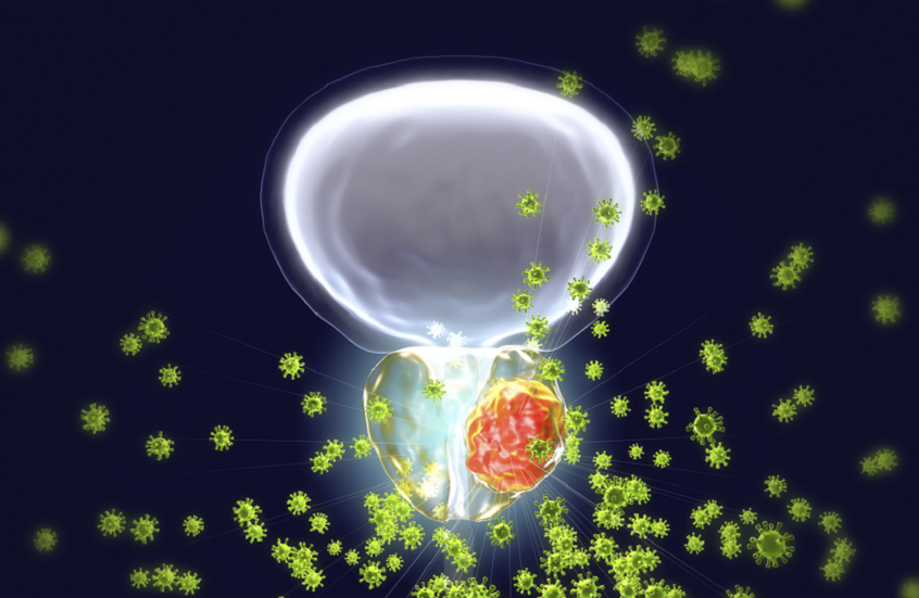 دواء جديد يمنع انتشار سرطان البروستات إلى العظام