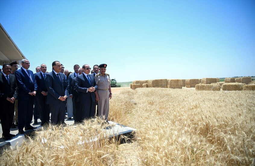مصر.. . تحذير رسمي من "كارثة" تهدد الزراعة بالبلاد بسبب "إعلانات ممولة مجهولة"