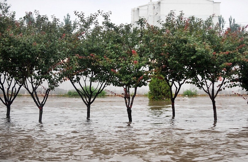 مع ارتفاع الحرارة.. العالم يواجه موجات مطرية أشد خطورة