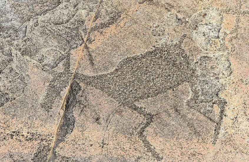 علماء آثار روس يخلقون نسخة ثلاثية الأبعاد لرسوم صخرية في القطب الشمالي