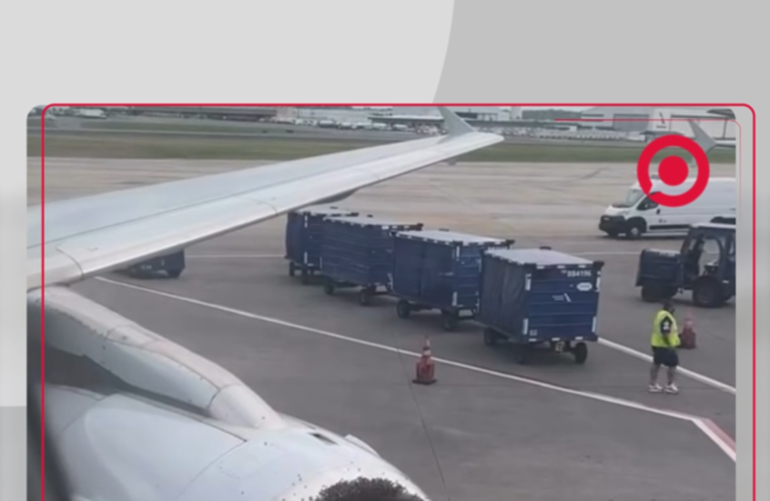 خلية نحل تعطل إقلاع الطائرة في الولايات المتحدة