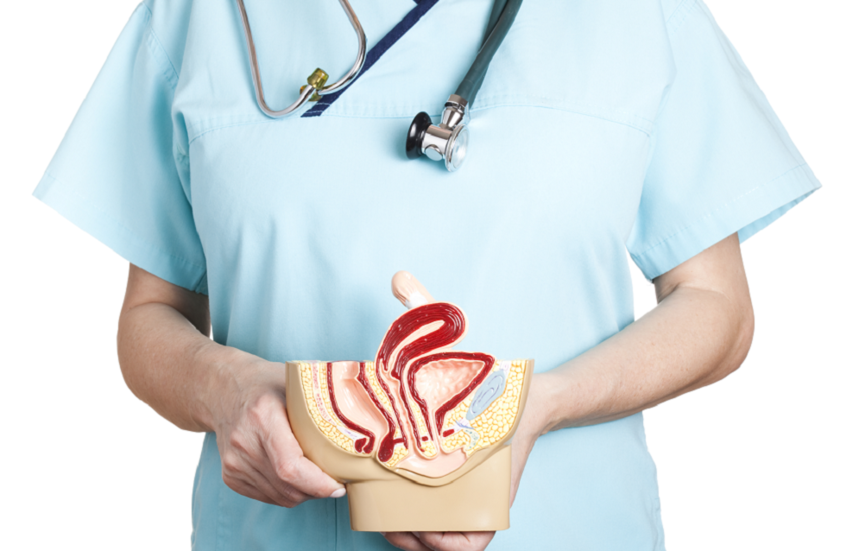 الأقل دراسة.. تفاصيل غير مسبوقة عن العضو الجنسي الأنثوي