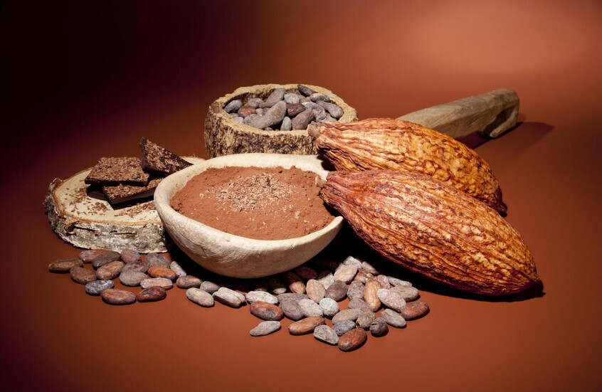 الكاكاو وتأثيره على العين.. نتائج واعدة من تجارب مخبرية