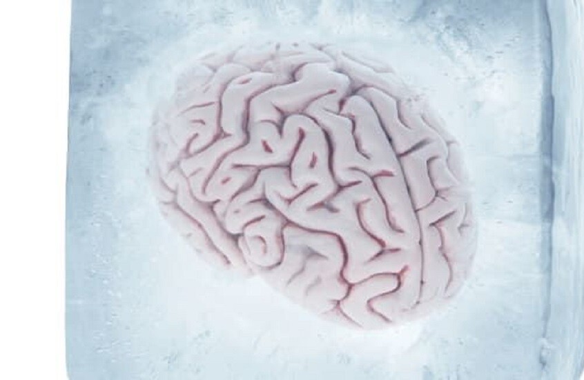 علماء صينيون يبتكرون مزيجا يعيد أنسجة الدماغ للحياة بعد التجميد
