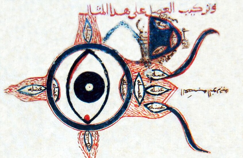 طبيب عربي من العصور الوسطى صحح تشريح العين وغير مسار الطب في أوروبا