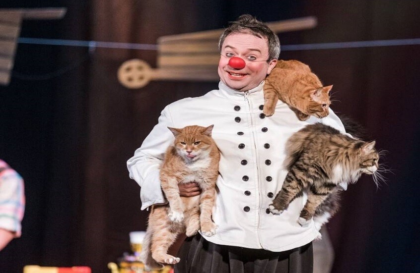 "كوتوبوم" في لوغانسك.. مسرح القطط يحتفل بالحيوانات الناجية من الحرب