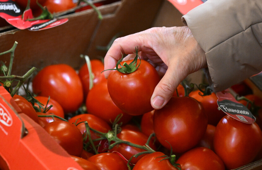 وسائل إعلام: تركيا قد تسد عجز الغذاء على خلفية توقف الصادرات الإيرانية