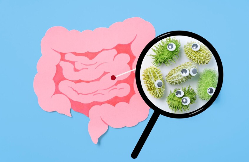 اكتشاف سبب للتراجع السريع في مناعة الأمعاء