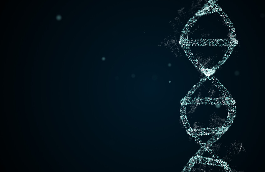 علماء إسرائيليون يحولون الأنثى إلى ذكر كامل بتغيير حرف واحد في الحمض النووي!