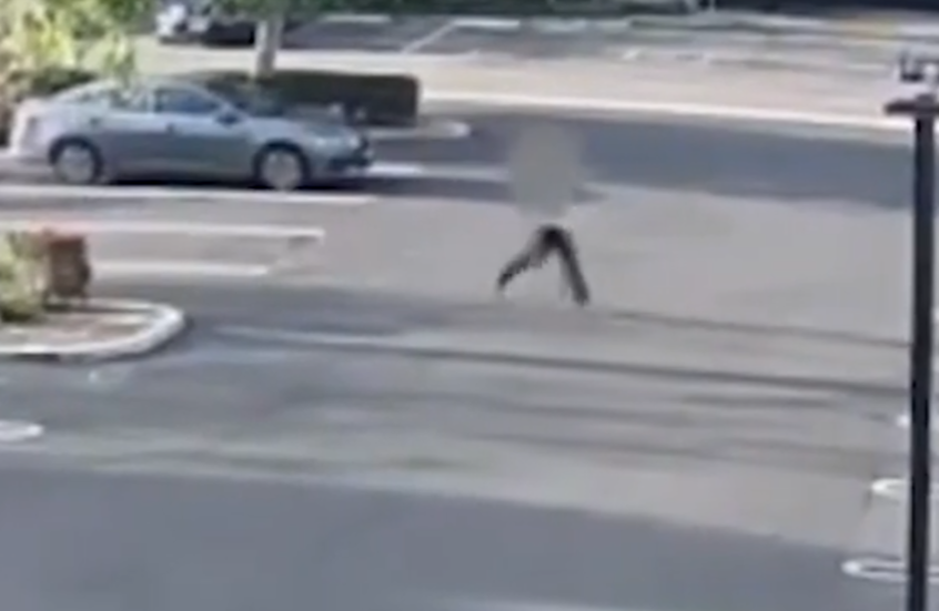 لحظة مرعبة لنجاة امرأة من محاولة اختطاف في وضح النهار في ولاية كاليفورنيا الأمريكية (فيديو)