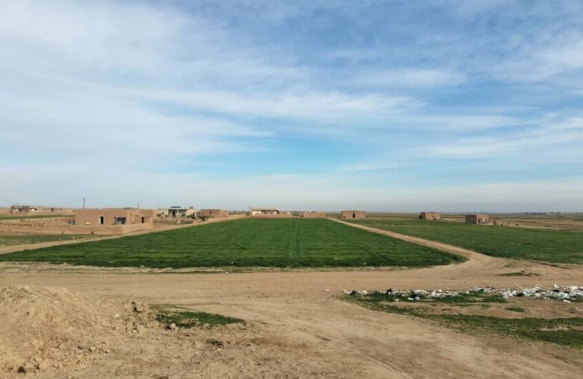 سوريا.. اتفاق العودة في رأس العين بريف الحسكة يصطدم بشرط حصاد 300 ألف دونم (صور)